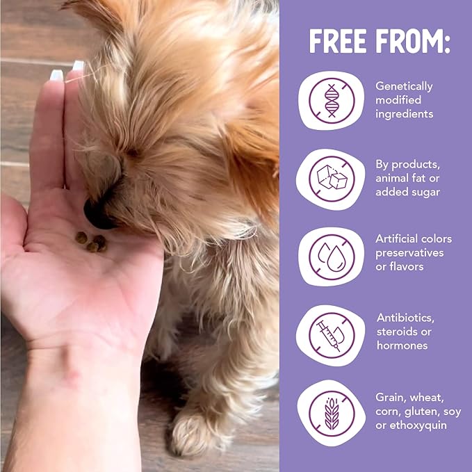 Health Extension Grain Free Salmon & Sweet Potato Little Bites Small Kibble Formula with 30+ Superfoods, Omega 3, and Probiotics for Teacups, Toys & Miniature Dogs (12lb)