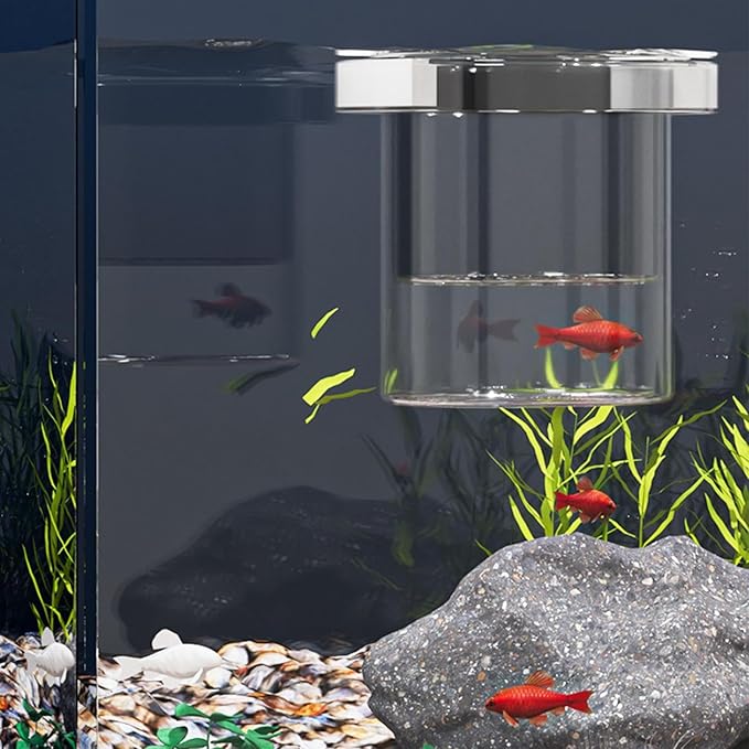 Fish Tank Breeder Box - Floating Aquarium Breeder Box, Fish Isolation Box | Fish Hatchery Box, Nursery Feeding Container Hatchery Incubator Divider for Betta Egg Fry Guppy Angelfish Acclimation