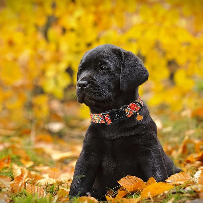 Autumn Plaid Dog Collar – Adjustable Orange Tartan Dog Collar with Fall Leaf Charm, Cozy Fall Vibes Orange Yellow Grid Puppy Collars for Small/Medium/Large Dogs