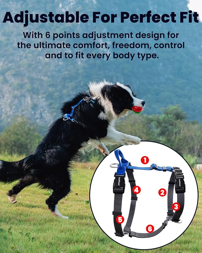 Non-Restrictive Dog Harness Medium Sized Dog, Easy Walk Freedom No Pull Harness, Keep Balance, Neck-Buckle, Six Points Adjustment, 2 Leash Clips for Back/Front Clip, Black/Grey