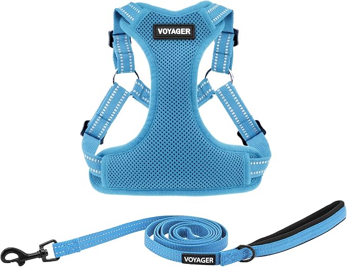 Best Pet Supplies Voyager Mesh Dog Breathable Harness Reflective Stitching, All Weather Adjustable for Walking Training, or Running - Heavy Duty & Durable, Harness Leash Set (Baby Blue), L