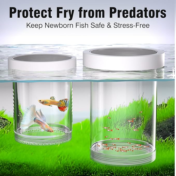 Floating Breeder Box for Fish Tank - Aquarium Isolation Separator Hatchery Incubator for Guppy, Betta, Clownfish, Coral, Baby & Injured Fish