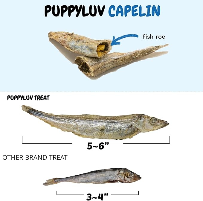 Puppyluv Capelin Treats for Dogs & Cats – Freeze-Dried Whole Fish, High Protein, Omega 3/6/9, Healthy Skin & Coat, Grain-Free, Natural Training Treats, 2.6oz