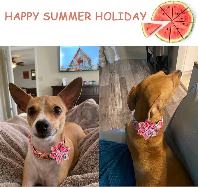 Unique style paws Dog Collar with Flower Tie Cotton Watermelon Collar Adjustable Summer Collar for Small Medium Large Dogs - XS