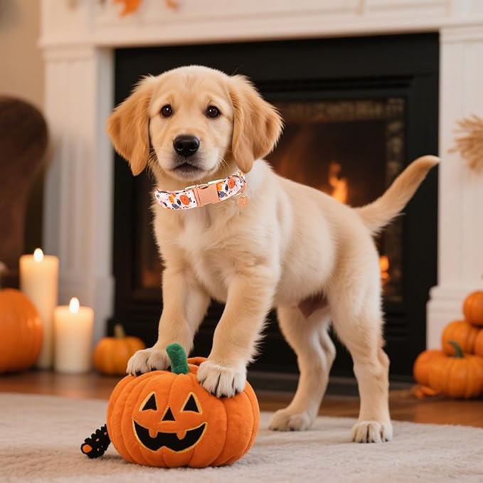 Halloween Dog Collar with Metal Buckle Gift Pumpkin Dog Collar for Small Medium Large Girls or Boys Dogs Cute Durable Comfortable Pet Collars
