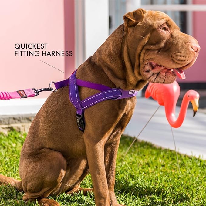 EzyDog Quick Fit Dog Harness – No Pull Harness for Training, Everyday Walking, and Easy Control - Adjustable Fit, Reflective, and Padded (X-Large, Denim)