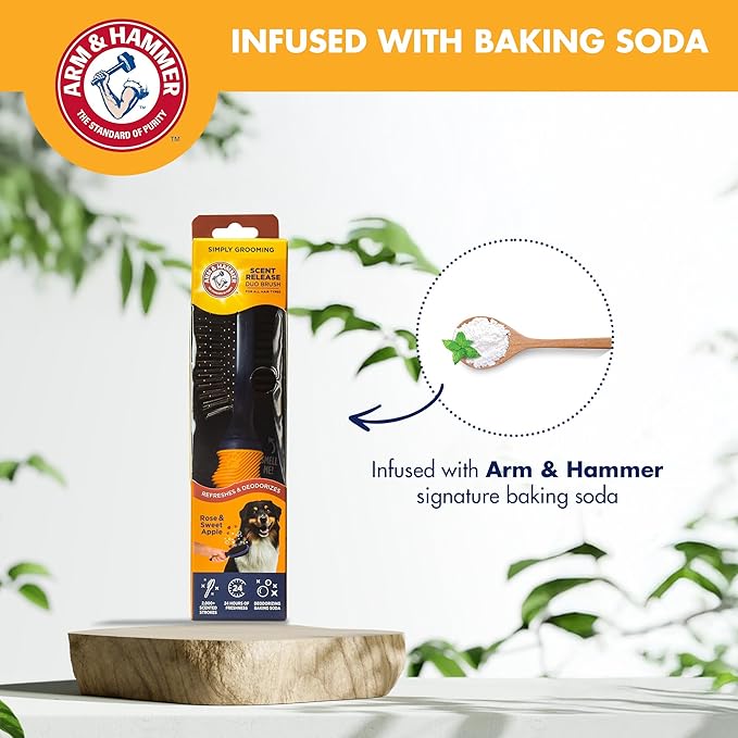 Arm & Hammer Deodorizing Pin & Bristle Dog Grooming Brush with Fragrance Transfer Technology – Scented 2-in-1 Dog Brush for Detangling & Shedding, Pet Brushes for Dogs, Sweet Apple & Rose Scent