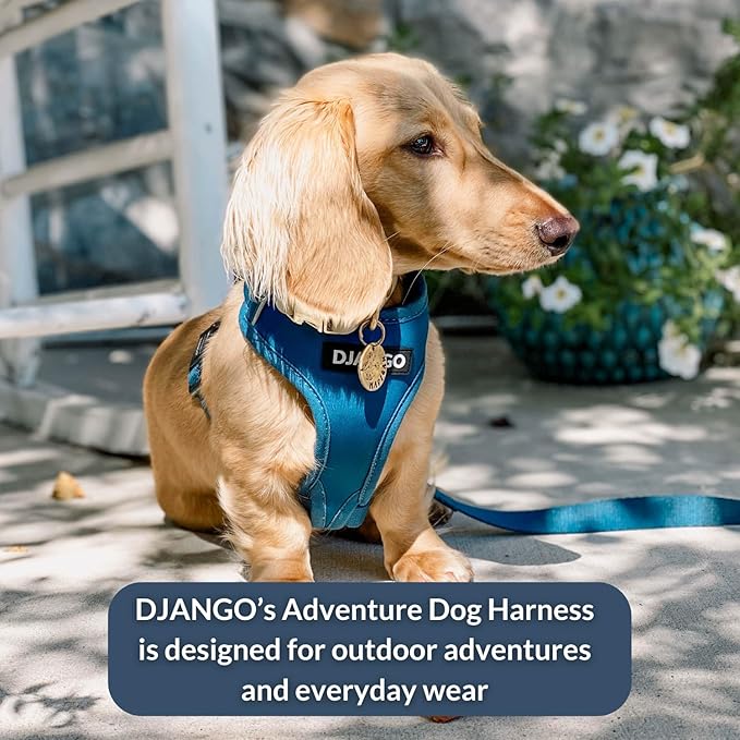 DJANGO Adventure Dog Harness - Stylish and Durable Medium Dog Harness for Outdoor Adventures and Everyday Wear - Indigo Blue Neoprene Adjustable Harness for Dogs with Reflective Piping, Brass D-Ring
