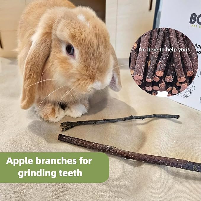 Libiline Natural Apple Wood Chew Sticks for Small Pets, Pet Toy (Brown, 500g)