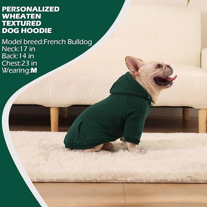 EXPAWLORER Textured Cable Knit Basic Dog Hoodie, Elevated Style Dog Sweater with Leash Hole and Pocket, Soft and Warm Pet Winter Coat, Cold Weather Clothes for Small Medium Large Dogs Cats, Green XS
