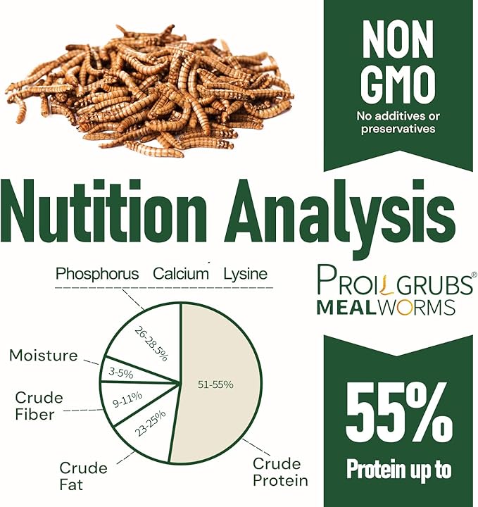 PROILGRUBS 2 LBS Dried Mealworms Super High Protein Nutritious Feed for Birds &Chickens - Organic Meal Worms for Laying Hens,Duck,Fish,Turtle,Reptil…
