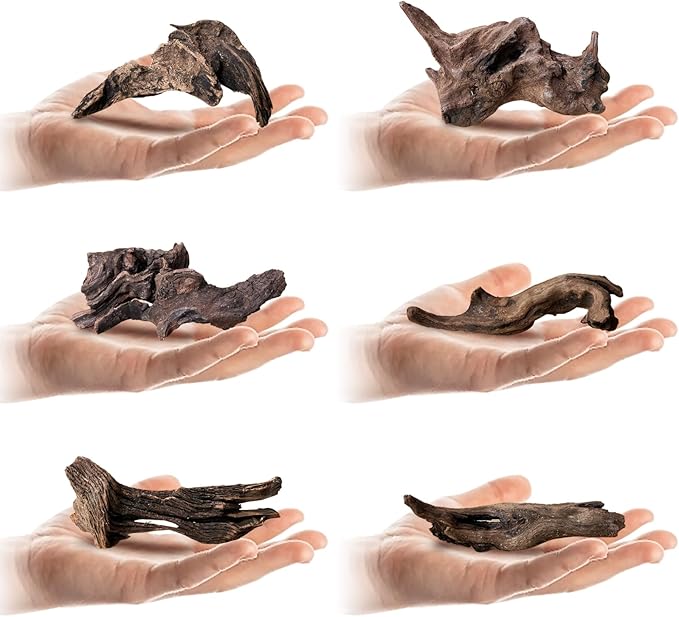 Tfwadmx Natural Small Coral Driftwood for Aquarium Decor 6 Pcs 4-6" Fish Tank Decorations Reptile Decor Assorted Driftwood Branch Reptile Tank Wood Decor