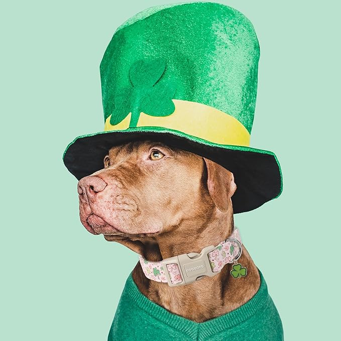 DOGWONG Green Dog Collar- Spring Female Dog Collars Adjustable St. Patrick's Day Puppy Pink Clover Dog Collar for Small Medium Large Dogs L