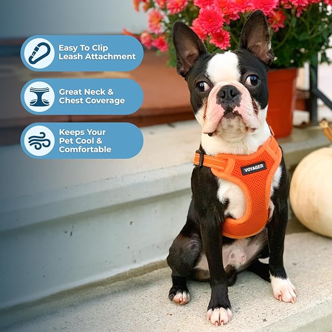 Best Pet Supplies Voyager Mesh Dog Breathable Harness Reflective Stitching, All Weather Adjustable for Walking Training, or Running - Heavy Duty & Durable, Harness (Orange), XS