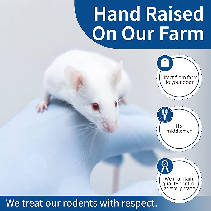 MiceDirect EST. 2003 40 Frozen Mice Small Fuzzie Feeders Snake Food for Juvenile Hognose Corn Milk (.5-1 in) (120 Grams Min)