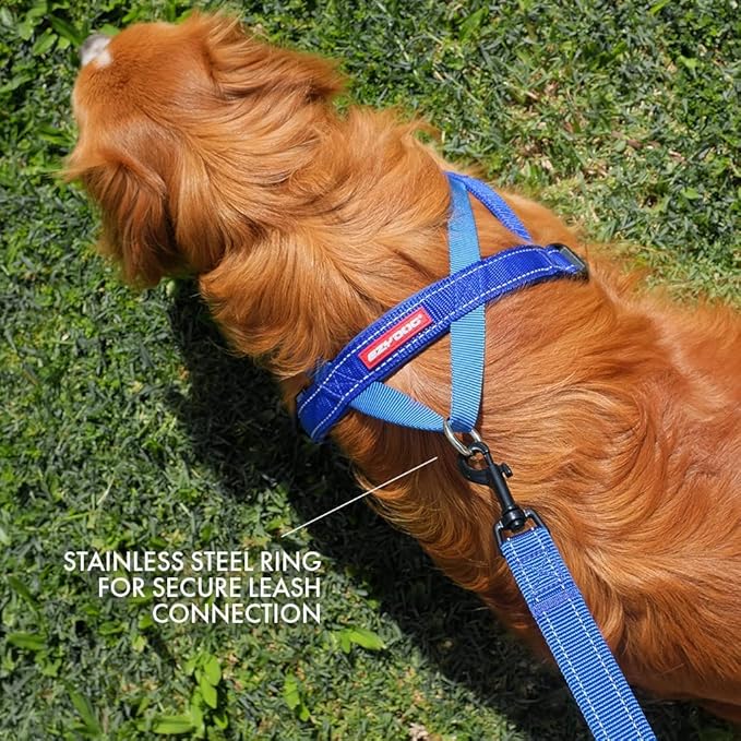 EzyDog Quick Fit Dog Harness – No Pull Harness for Training, Everyday Walking, and Easy Control - Adjustable Fit, Reflective, and Padded (Large, Purple)