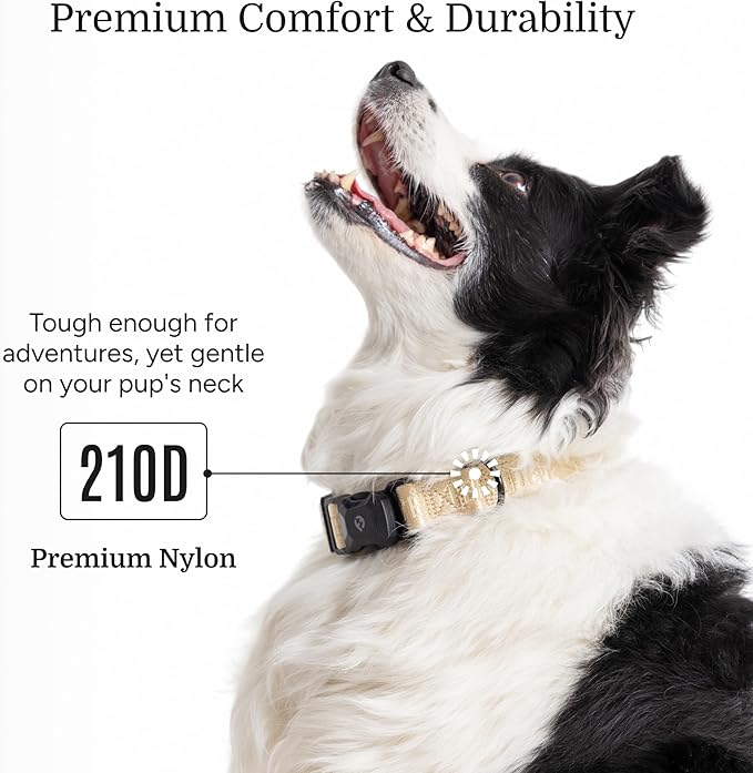 2025 New Edition, Fei & Eve MagEase Dog Collar - Patented Magnetic Buckles | Fur-Safe | Premium 210D Nylon | 450LB Escape-Proof | Adjustable Fit | Large (Champagne)