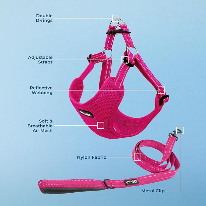 Best Pet Supplies Voyager Mesh Dog Breathable Harness Reflective Stitching, All Weather Adjustable for Walking Training, or Running - Heavy Duty & Durable, Harness Leash Set (Fuchsia), L
