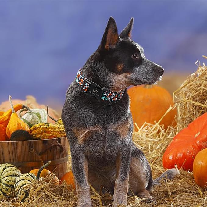 Halloween Dog Collar, UP URARA PUP Cotton Skull Ghost Dog Collar for Small Dog, Fall Pet Collar with Halloween Elements Pattern, Adjustable Puppy Collar,XS,Neck 8-12in