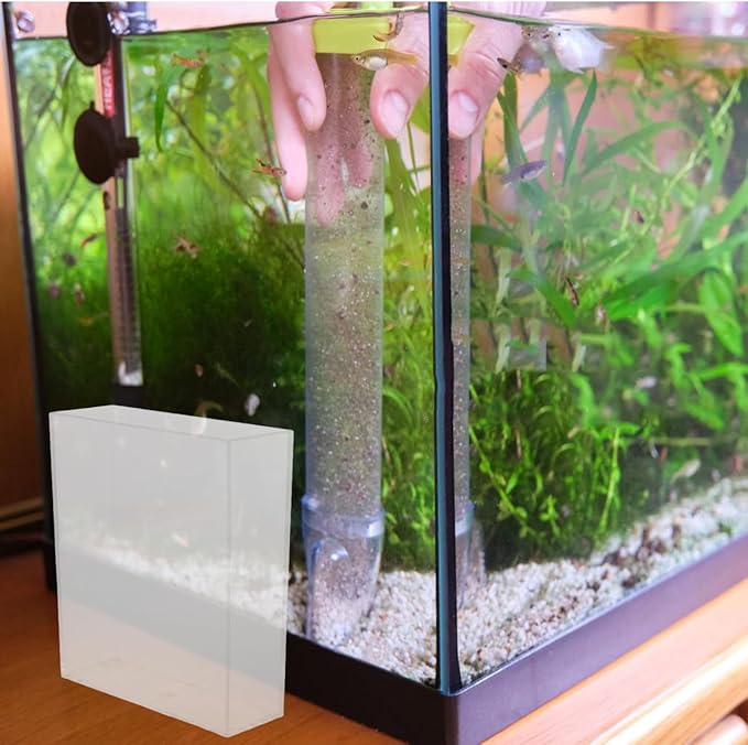 Kisangel Portable Transparent Fish Viewing Box 4.92X4.33X1.5In Lightweight Betta Fish Breeding Container for Aquarium Desktop Observation