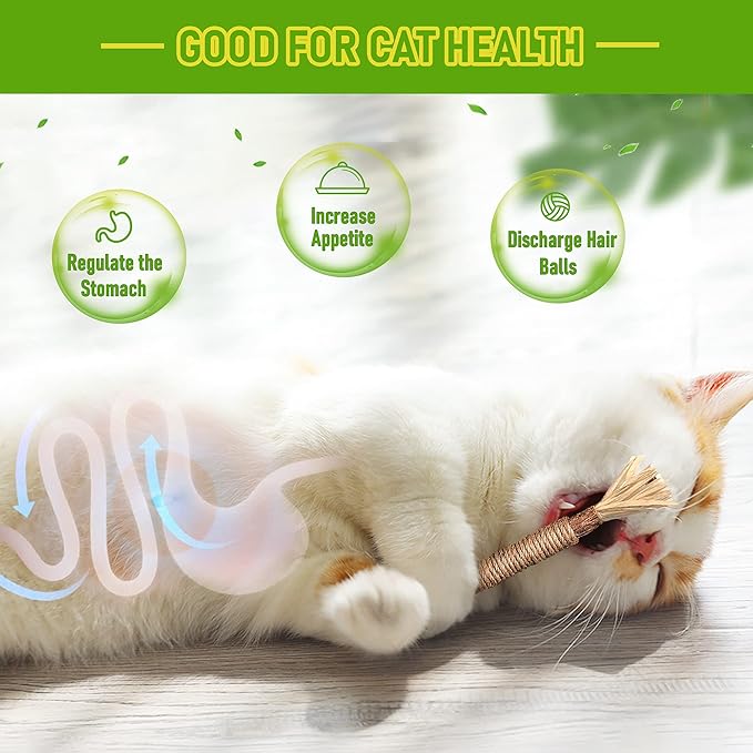 BAWAN Catnip Toys‖ Silvervine for Cats: Cute Cat & Kitten Toys for Indoor Cats Interactive‖ Cat & Kitten Teething Chew Toys for Aggressive Chewers‖ Silvervine Sticks Ca.t Dental Toy (3PCS)