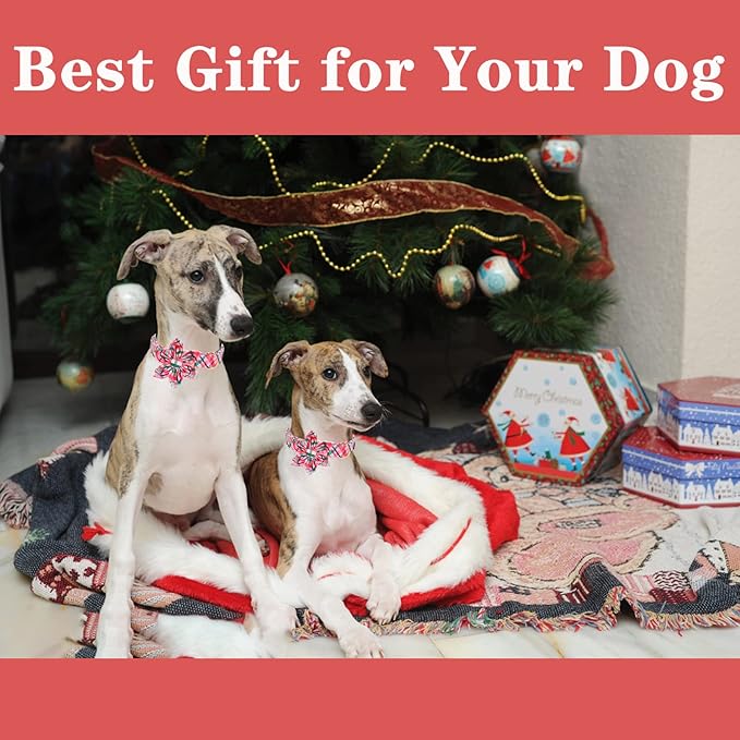 Unique style paws Cotton Dog Collar with Bow Winter Christmas Puppy Collar with White & Red Grid for Small Medium Large Boys Girls Dogs