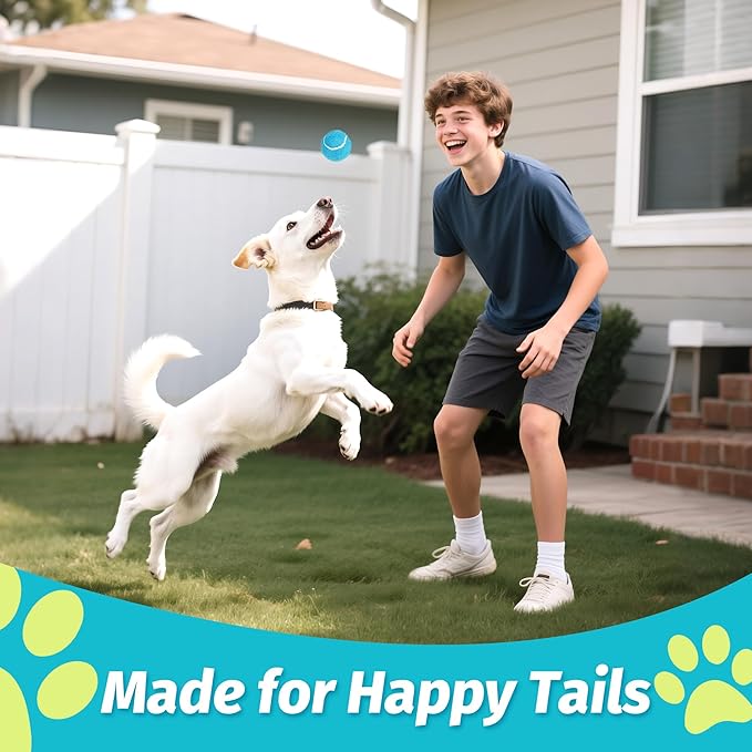 Prime Pets Tennis Balls for Dogs, 12 Pack 2.5” Durable Squeaky Dog Balls with High Bounce for Outdoor Play, Interactive Fetch & Training Dog Toys for Small and Medium Breeds