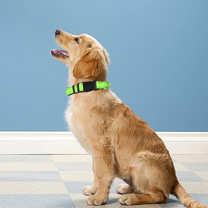 Reflective Dog Collar, Adjustable Soft Neoprene Padded Nylon Pet Collars with Buckle for Medium Dogs, Green,M