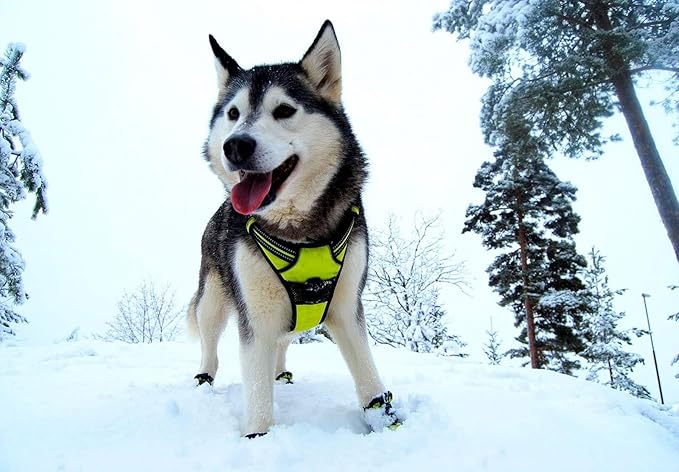 TRUE LOVE Adjustable No-Pull Dog Harness Reflective Pup Vest Harnesses Comfortable Control Brilliant Colors TLH5651(Neon Yellow,L)