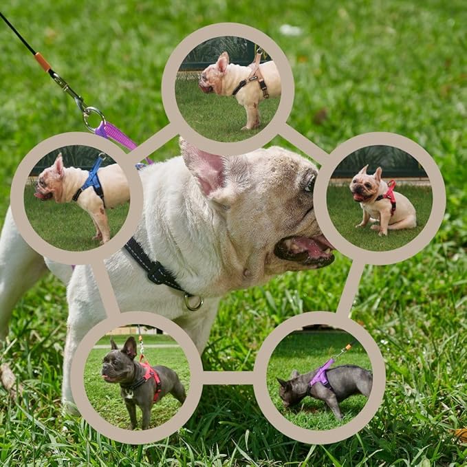 No Pull Dog Harness with Handle, Rear & Front Clip, Adjustable, Easy On/Off, Reflective, Lightweight & Mesh Padded, No Choke. for Small, Medium Dogs (Beige-Black, Small)