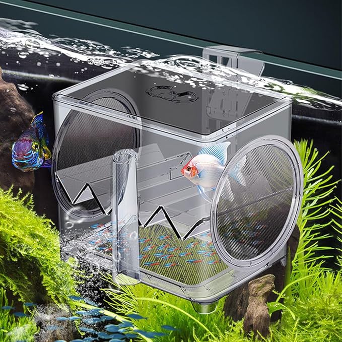 Aquarium Breeding Box,Wall-Mounted Installation Acrylic Tank Hatchery Incubator Box with Feeding Hole for Fish Hatching Rearing