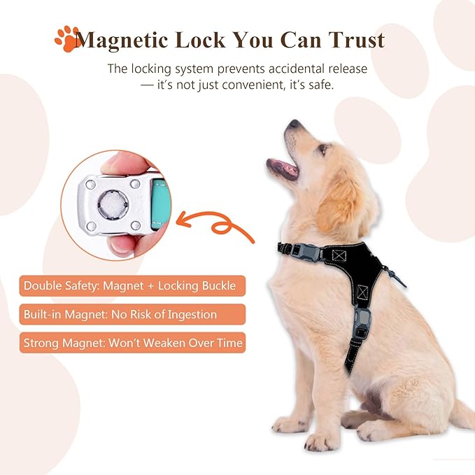 Magnetic Quick-Release Buckle Dog Harness and Leash Set, Easy Walk Faux Leather Puppy Harness and Leash, Easy On & Off Dog Vest for Small, Medium, Large Girl Boy Dogs for Training, Black,L