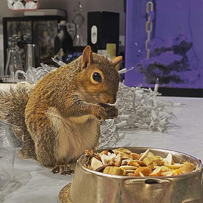 Exotic Nutrition Squirrel Complete (15 lb.) - Healthy Natural Food for Pet & Captive Squirrels - Ground, Grey, and Flying Squirrels, & Chipmunks
