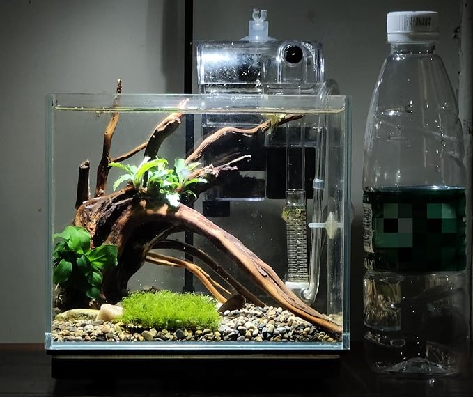 Small Nano Rimless Tank, Clear Glass Fish Tank, 1.1 Gallon, 7.8x5.5x5.9inch/20x14x15cm, Betta Fish Tank