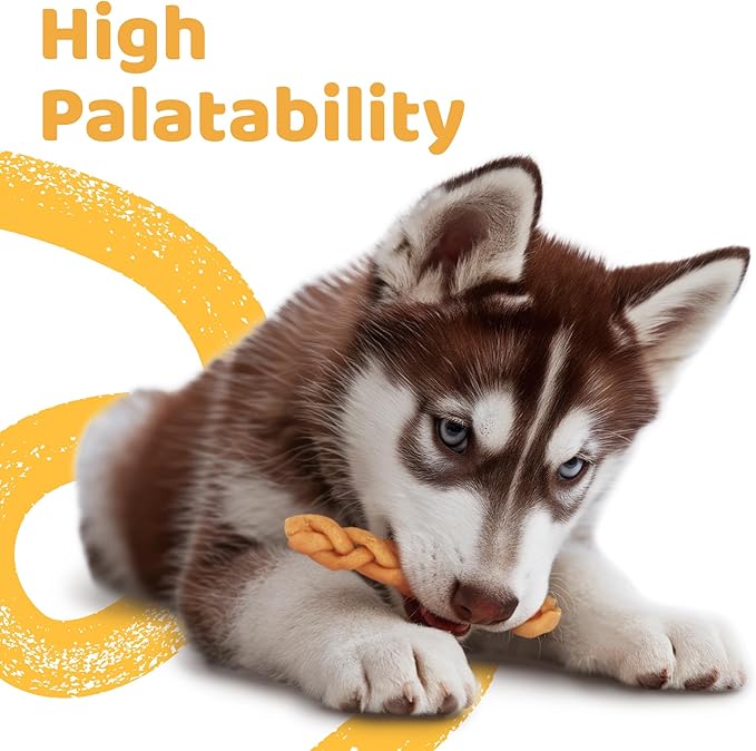 iPaw Turkey Dog Treats, All Natural Human Grade Dog Treat, Suitable for Training chew, US Sourced Raw Material, Hypoallergenic, Rawhide Alternative, Braided Stick