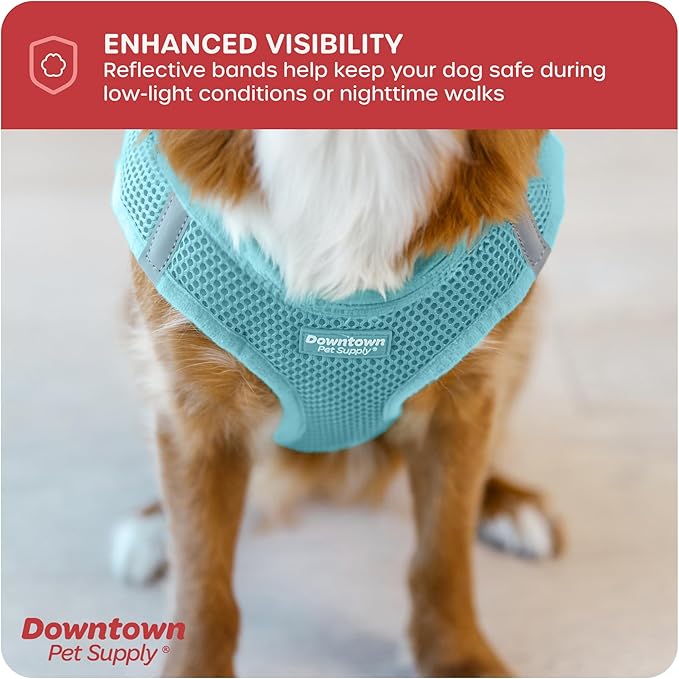 Downtown Pet Supply Step-in Dog Harness – No Pull, Adjustable Padded Mesh with Reflective Trim, Secure Buckle Strap – Comfortable & Breathable Small Dog Harness, X-Small, Light Blue