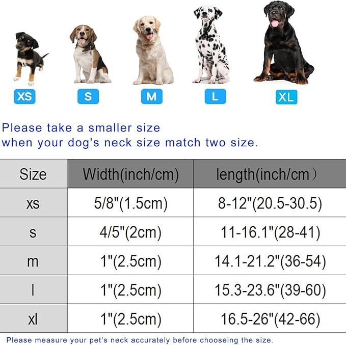 DOGWONG Fall Flower Dog Collar- Cute Flower Dog Collars Adjustable Floral Dog Collar for Girl Female Small Medium Large Dogs M