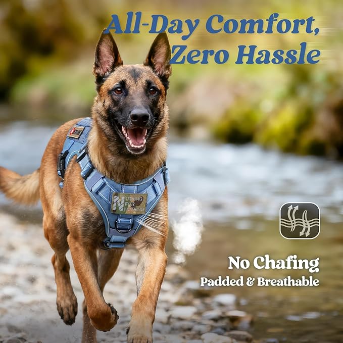 rabbitgoo Tactical Dog Harness Small Sized, No Pull Upgraded Reflective Heavy Duty Molle Vest with Handle, Adjustable Military Service Dog Vest for Walking Hiking Training, Blue, S
