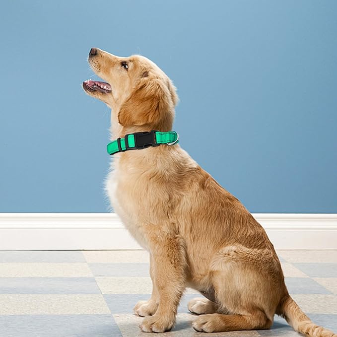 Reflective Dog Collar, Adjustable Soft Neoprene Padded Nylon Pet Collars with Buckle for Large Dogs, Grass Green,L