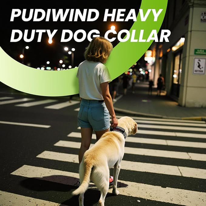 Heavy Duty Dog Adjustable Breathable Nylon Collar for Medium to Large Breeds Dogs with Control Handle Quick Release Metal Buckle Soft Neoprene Padded & Reflective Stitching