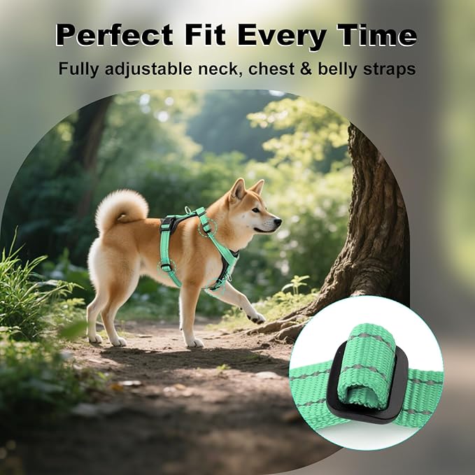 Plutus Pet Adjustable No Pull Dog Harness with Leather Accents, Heavy Duty Reflective Nylon Vest for Training, Hiking, Easy Walk Harness for Small, Medium, Large Dogs (Teal, M)