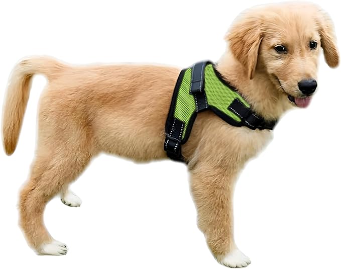 No Pull Reflective Adjustable Dog Harness with Handle- Comfortable Soft All Weather Mesh, Easy On Puppy Harness for Small Medium and Large Dogs (Green) Large