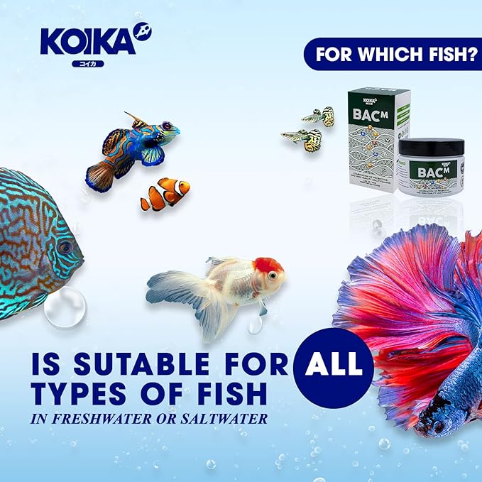 KOIKA BACM Natural Color Enhancement for Fish, Combination of Probiotic & Multi-Vitamins for Aquarium A, B6, B2, Pleasant Smell(BACM (Powder), 2.82 oz)