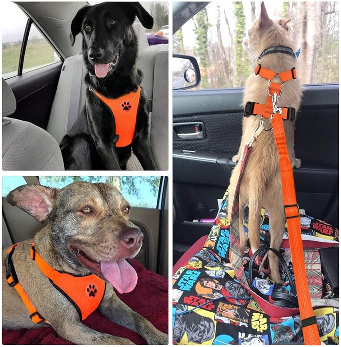 Lukovee Dog Seat Belt - Adjustable Dog Car Harness for Large, Medium, Small Dogs - Soft Padded & Breathable Mesh Dog Seatbelt with Vehicle Connector Strap (Orange Double Clip, Small)