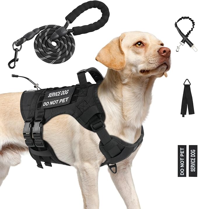 No Pull Tactical Dog Harness for Large Dogs, Escape Proof Molle Dog Vest Harness and Leash Set, Adjustable Military Service Dog Harness with Handle for Medium Large Dogs(Black, L)