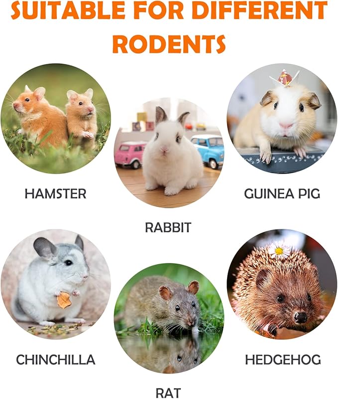 Sofier 12Pcs Timothy Hay Treats Rabbit Toys Bunny Toys Guinea Pig Natural Chews for Teeth Handmade Rabbit Chews and Treats Chinchilla Rat Hamster Gerbil