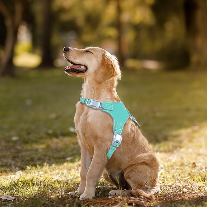 Magnetic Quick-Release Buckle Dog Harness and Leash Set, Easy Walk Faux Leather Puppy Harness and Leash, Easy On & Off Dog Vest for Small, Medium, Large Girl Boy Dogs for Training, Teal,L