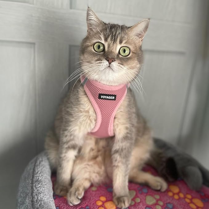 Best Pet Supplies Voyager Step-in Air Harness - All Weather Mesh, Reflective, No Pull Harness for Dogs, Cats - Secure with Hook & Loop Fastener, Buckle, Double D-Rings - Pink, L