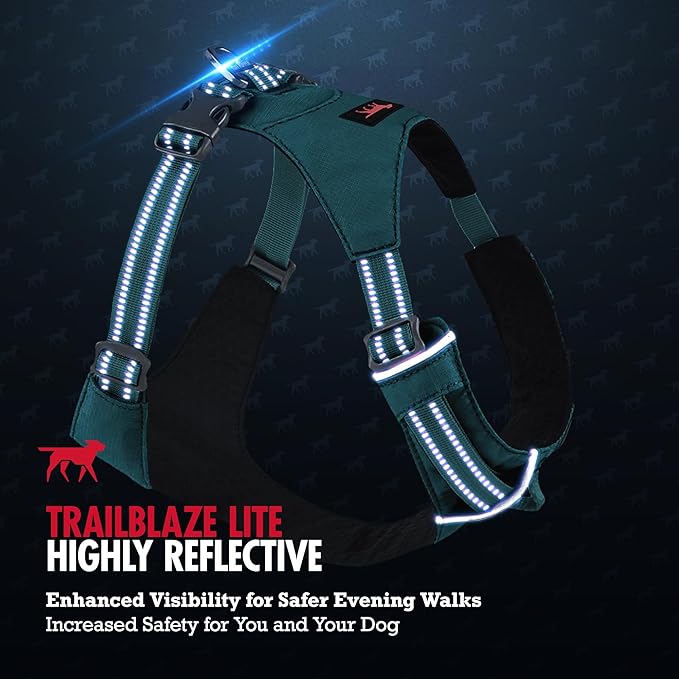 Tuff Pupper All-Day Wear Dog Harness | for Walking, Trail Running, Hiking | Front & Back Leash Clips | Reflective Trim | Easy On/Off Buckles | Lightweight Breathable | No Pull Design (L/XL, Teal)