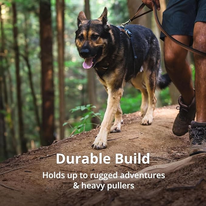 Ruffwear, Front Range Dog Harness, Reflective Soft Padded Everyday Harness with Dual Leash Clips, Adjustable and Lightweight Fit for Training or Walking for All Dogs, Moonlight Mountains, Medium